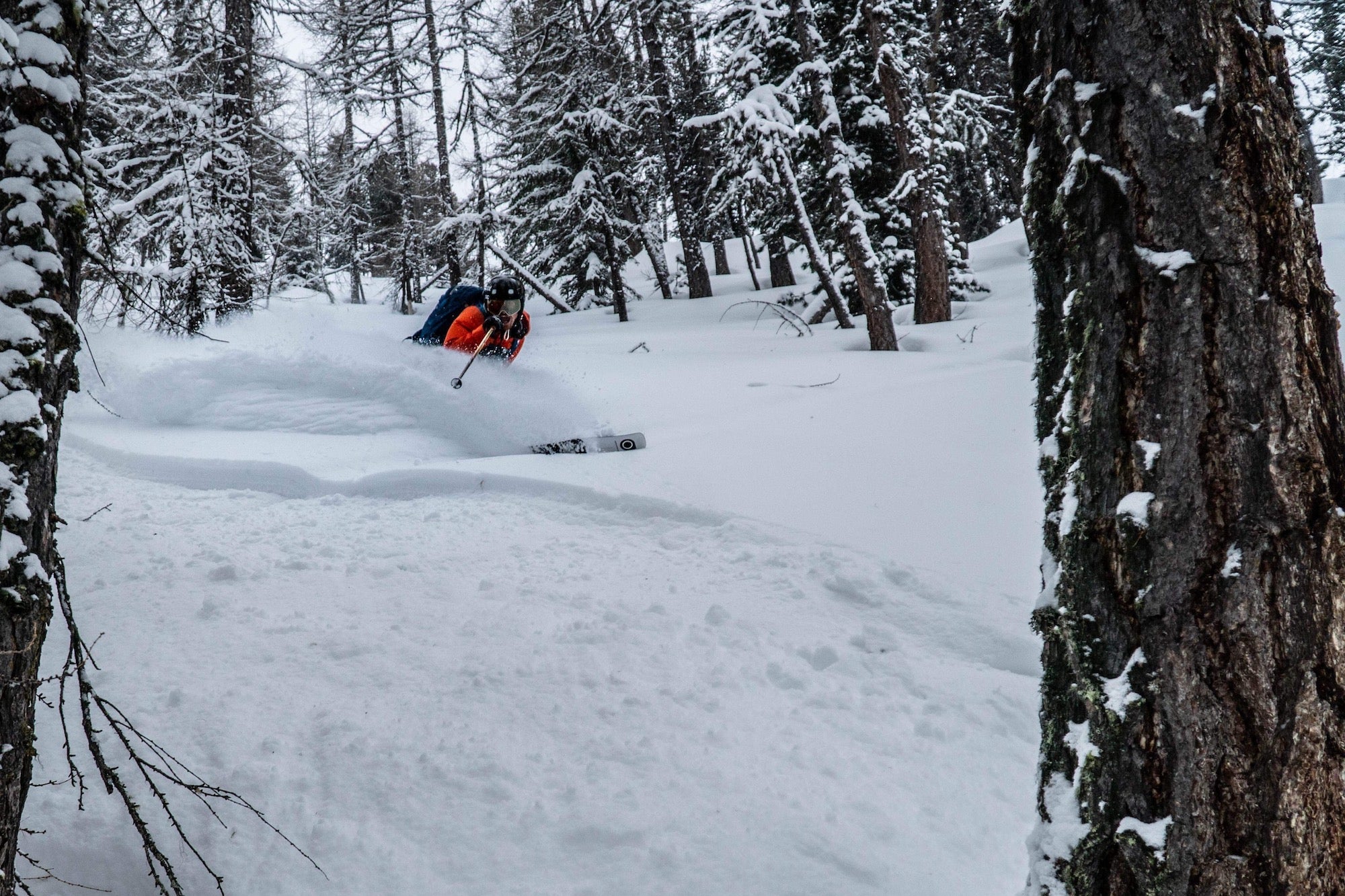 Whitedot rider, Will Tucker through the trees