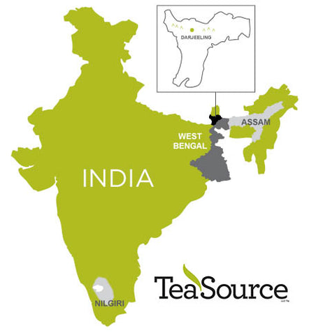 Infographic of black tea growing regions in India