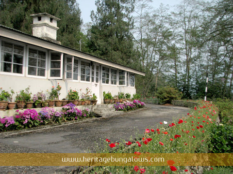 The visitor’s bungalow at Temi Tea Garden