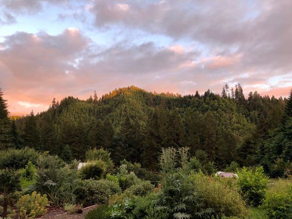 Eryn Leavens and Oliver Gawlik of Happy Compromise Farm in Drain, Oregon