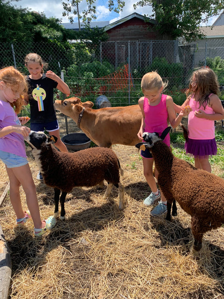 Scarlett Salamone of Loveland Acres Farm in Elkhorn, WI