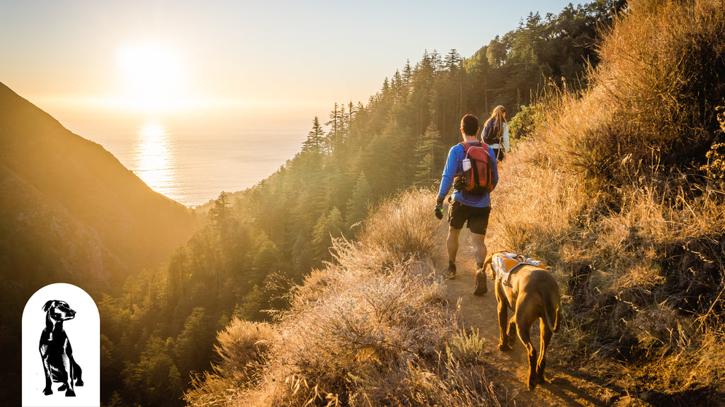 Dog Friendly Hiking Trails