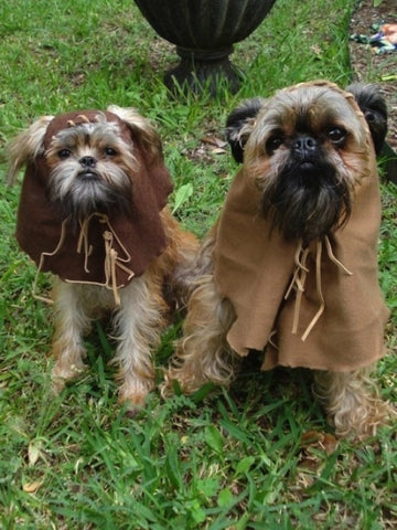 ewoks dog halloween costume