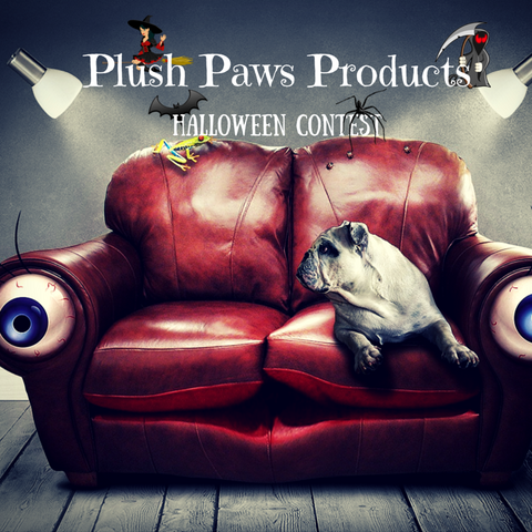 Plush Paws Products Halloween Contest