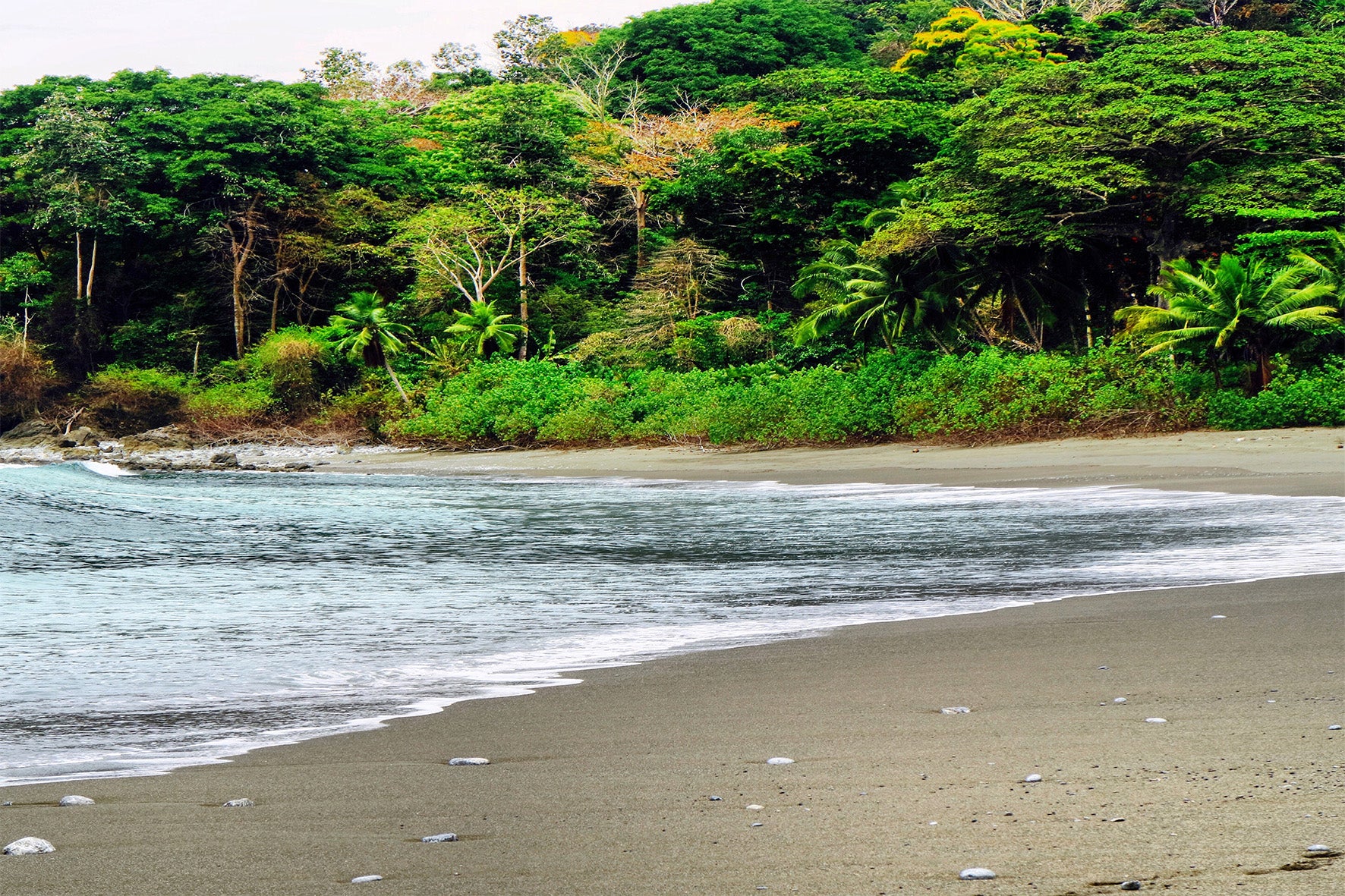 Playa Matapalo, Osa Penisnula