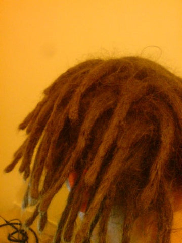 3.5 Months Dreadlocks