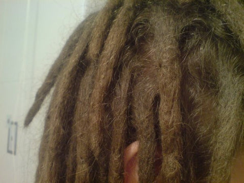 6 Months Dreadlocks