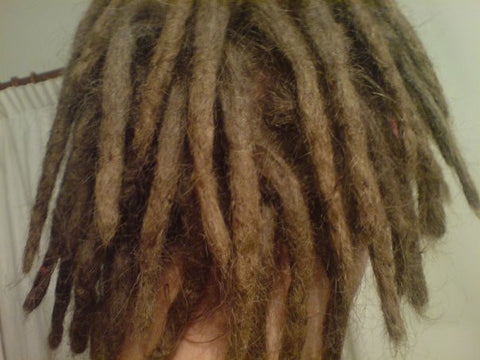 8 Months Dreadlocks