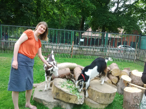 Longford Park pets corner goats