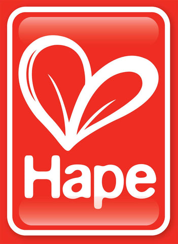 Hape Toys