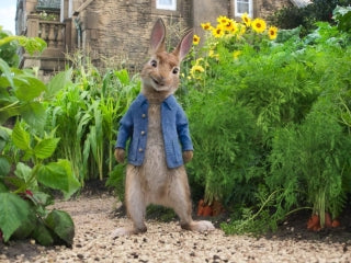 Beatrix Potter’s Peter Rabbit meets a new generation