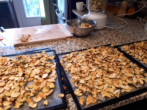 making dried apples