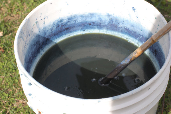 White bucket with dark blue indigo dye bath