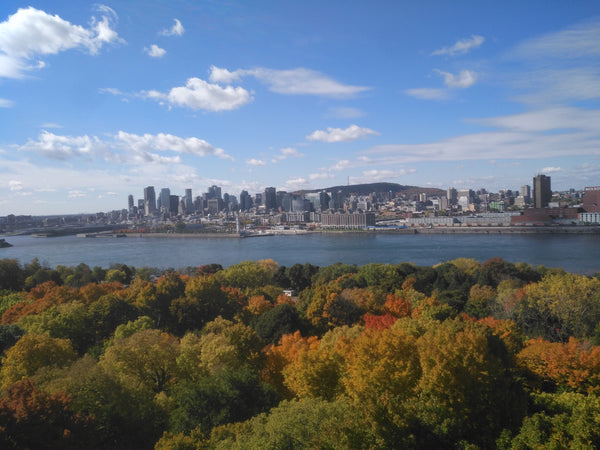 View of Montreal from top of Tour de Lévis