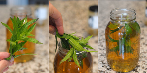 Collage of images showing mint steeped in jar of green tea