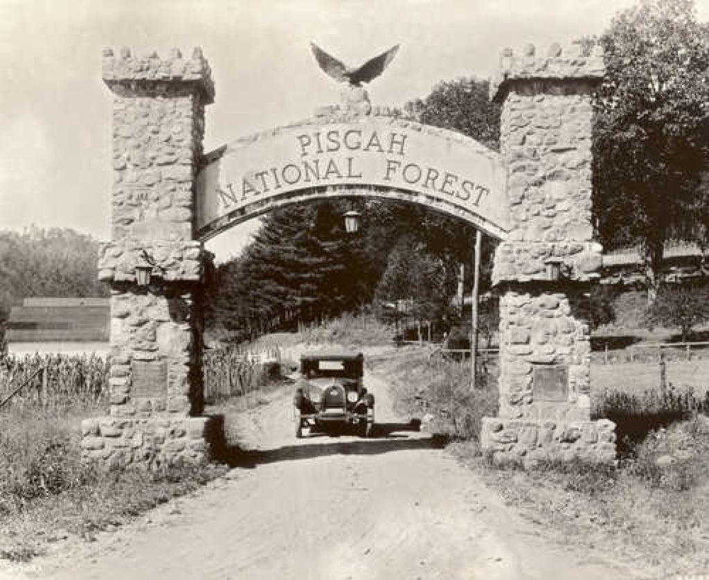 Piscal National Forest Sign