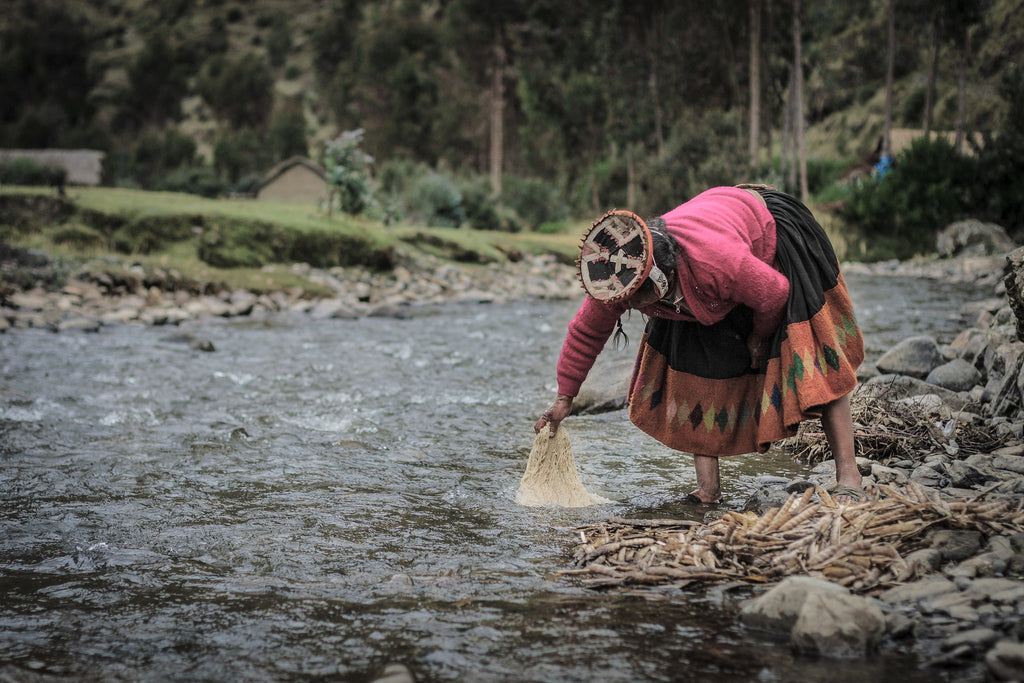 Peruvian artisan washing yarn in stream