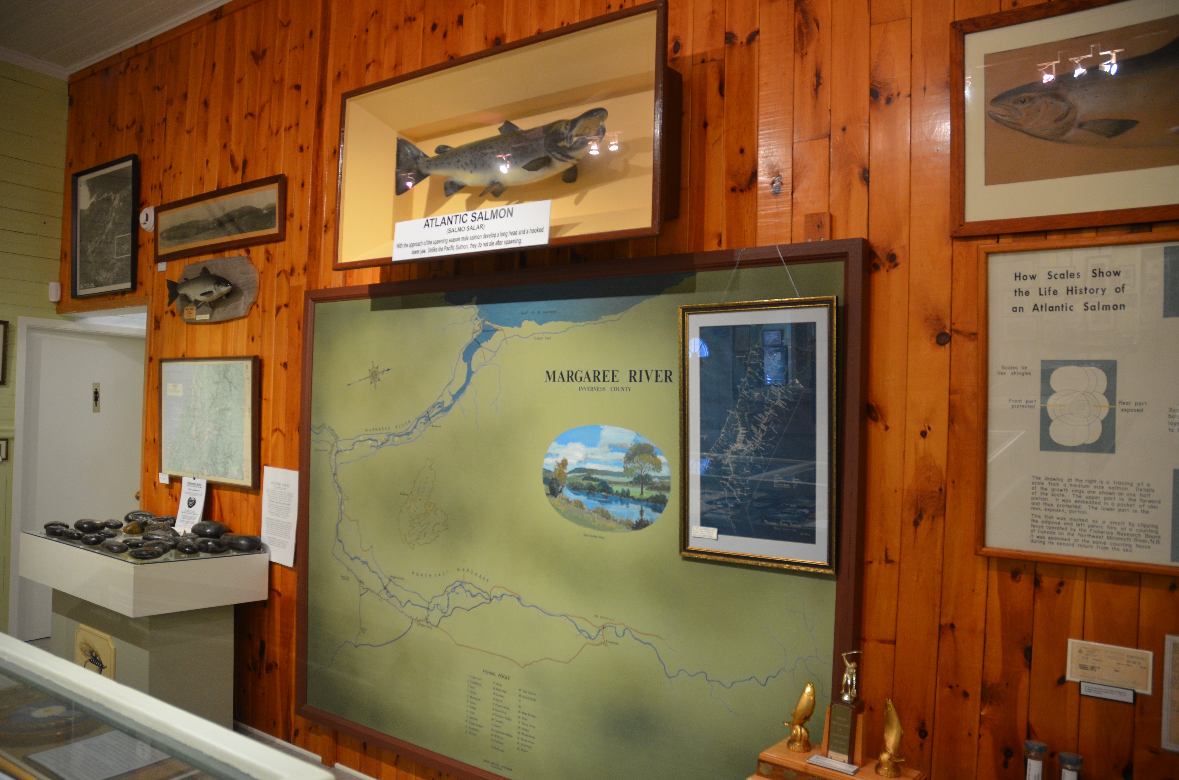 Margaree Salmon Museum 12