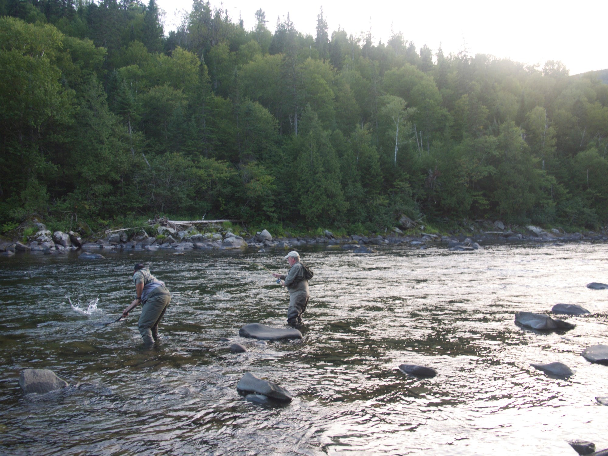 Marc Aroner Gaspe Salmon