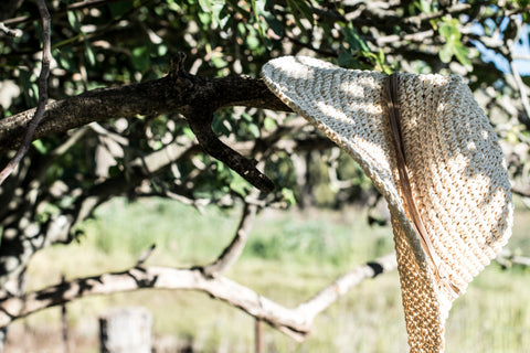 Foraging for figs