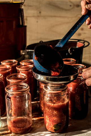 Autumn tomato harvest passata