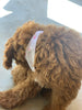 Dog Bandana Bib ~ Your choice of Fabric ~ Slips over Collar