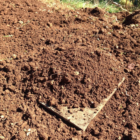 mounding some soil