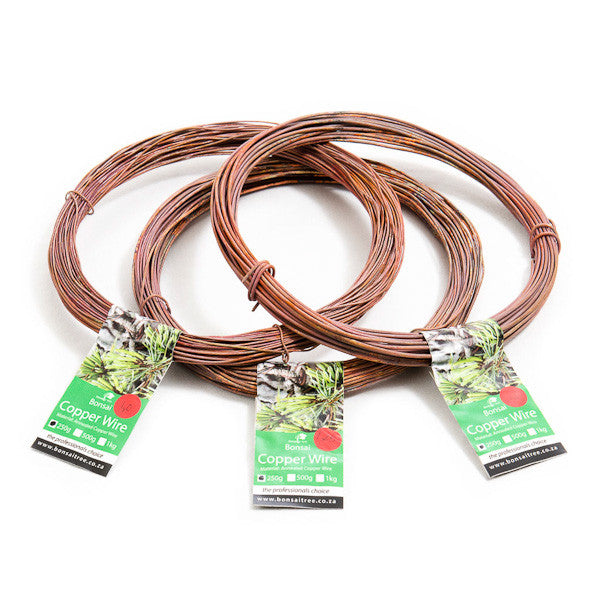 Copper wire for bonsai trees