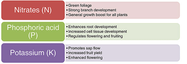 NPK plant fertilizer
