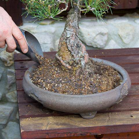 Placing soil with a scoop