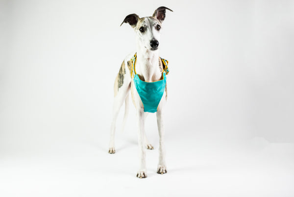 LT-Dog Harness for Car in Pineapple Print- Cooling not Pulling