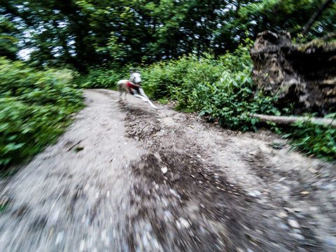 Kai chasing me down in Hampstead Heath