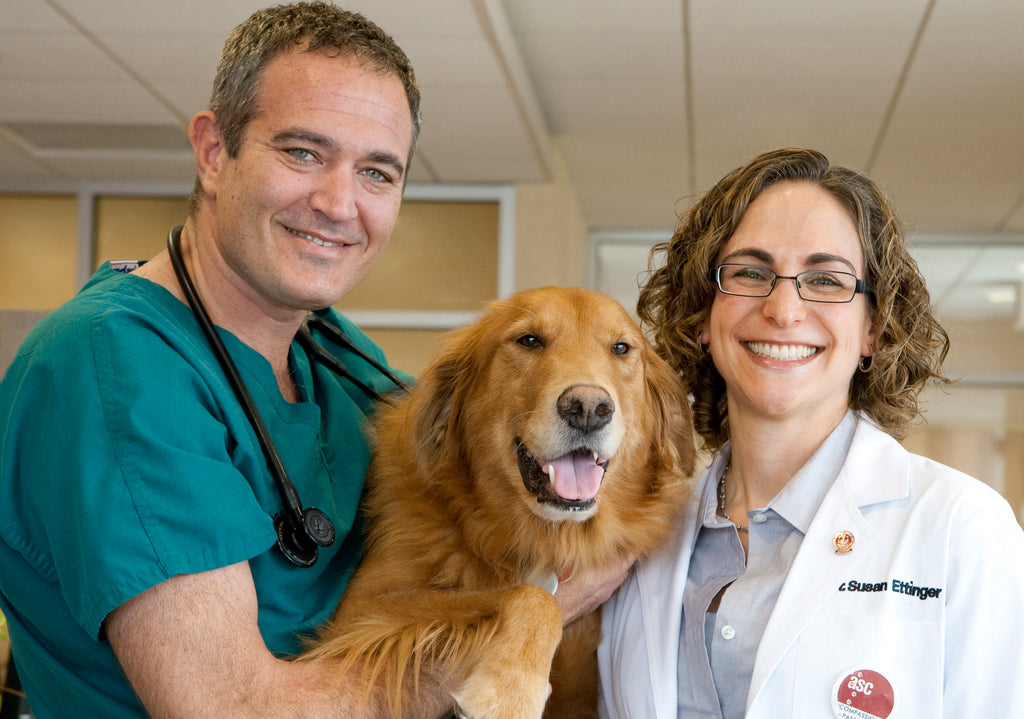 Dr. Dressler and Dr. Ettinger in vet office with golden retriever