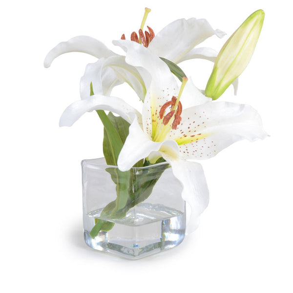 Lily Cutting