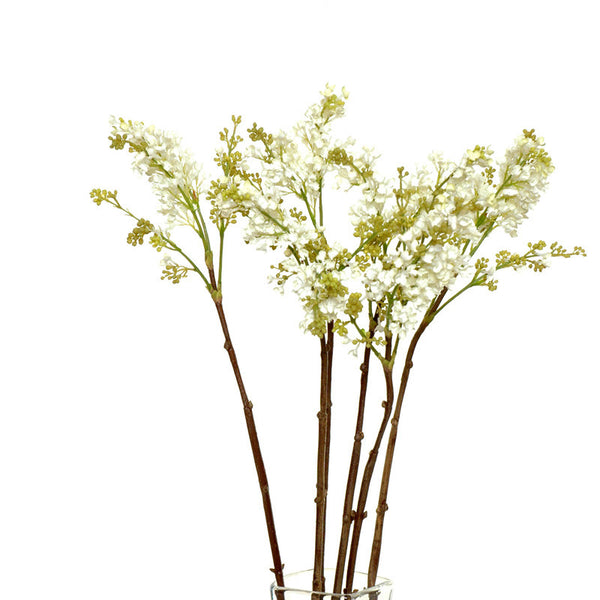 Lilac Flower Stem