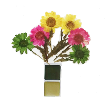 10 Amazing Things You Can Do With Pressed Flowers