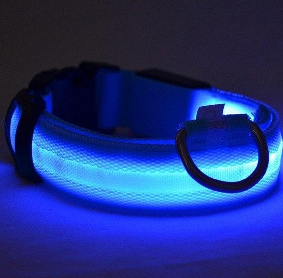 lighted dog collars