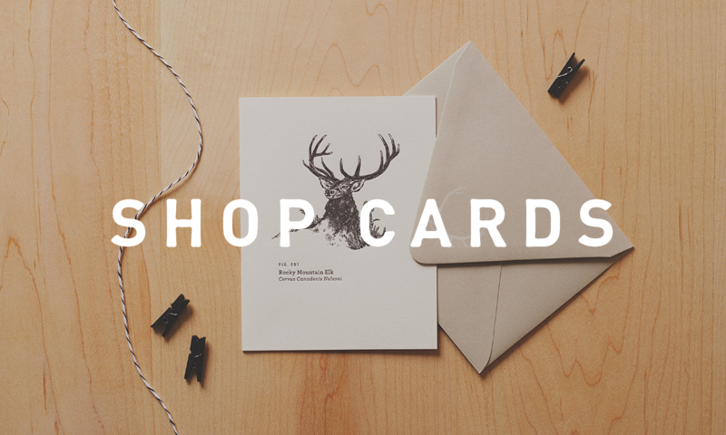 Shop Cards