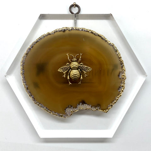 Lucite