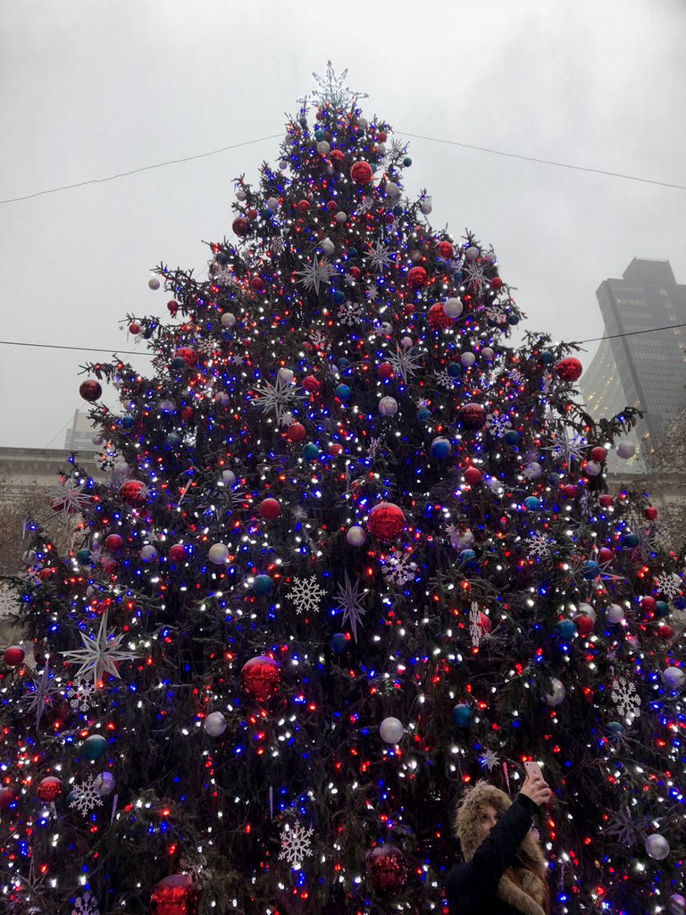 Lovely trees, adorned with baubles and lights