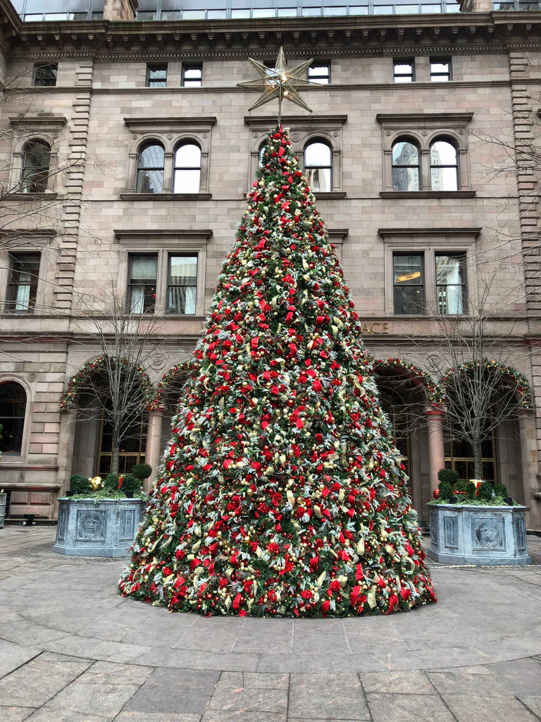 A Christmas tree to enjoy at the hotel