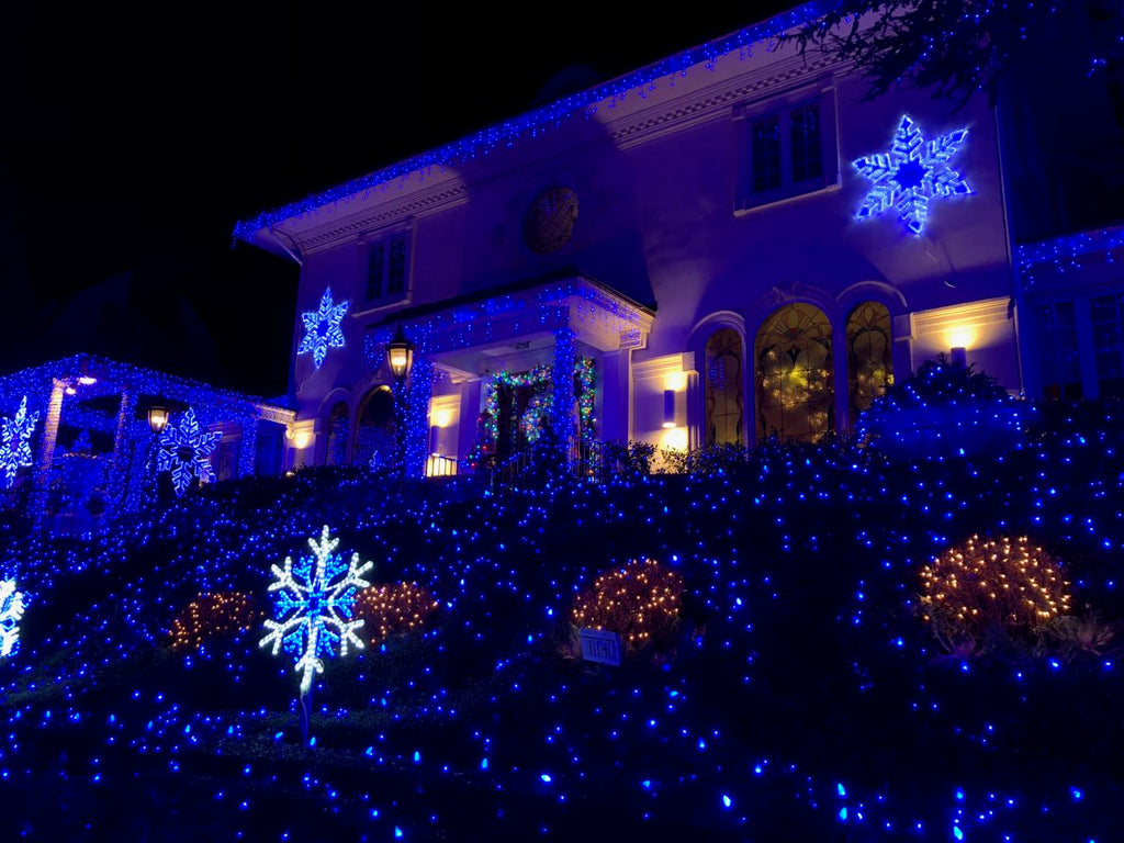 The detail is in the bushes for this Dyker Heights home