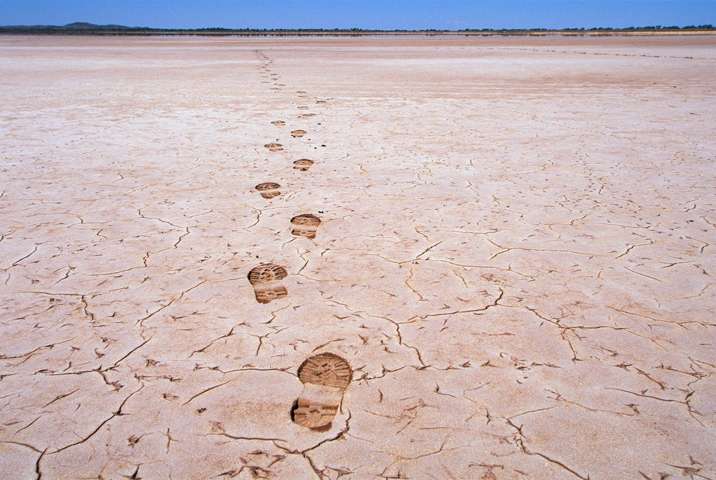Detail of Bootprints on Lake Austin by Corbis