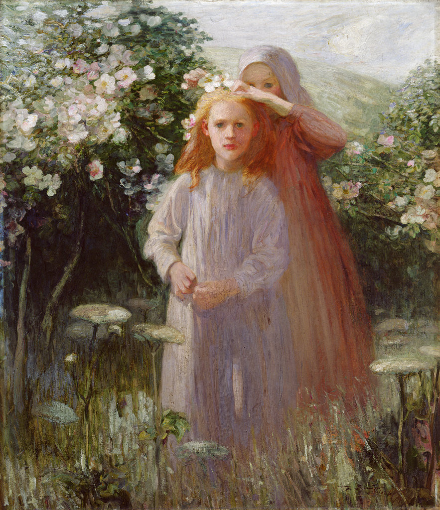 Detail of Wild Roses, 1906 by Mark Senior