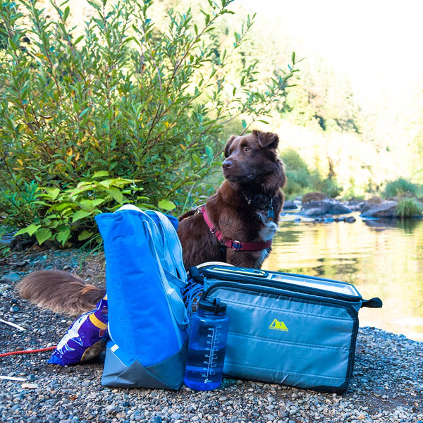 Hiking with Dogs: Pack Smart