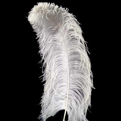 large feather plumes