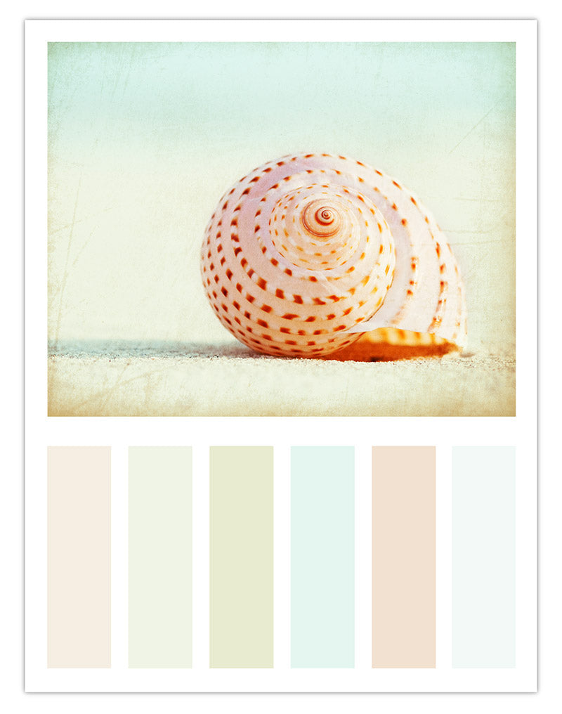 Beach Decor Color Scheme Idea by Carolyn Cochrane.... Inspired by her Shell Photograph, "Seashell Voices"