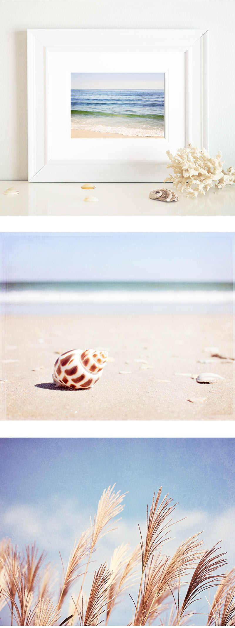 Beach Photography Art Prints by CarolynCochrane.com | Coastal Wall Decor