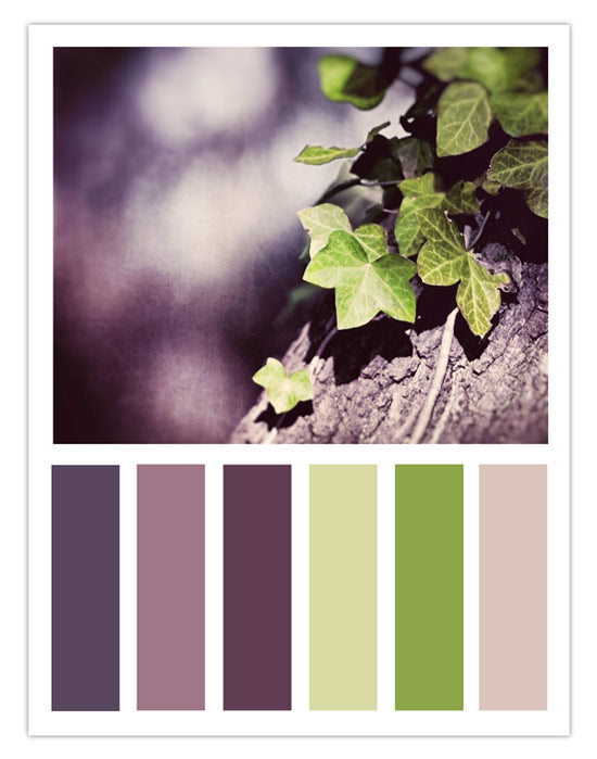 Purple Color Scheme by carolyncochrane.com