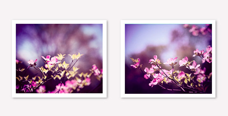 Purple Floral Photography Set by carolyncochrane.com